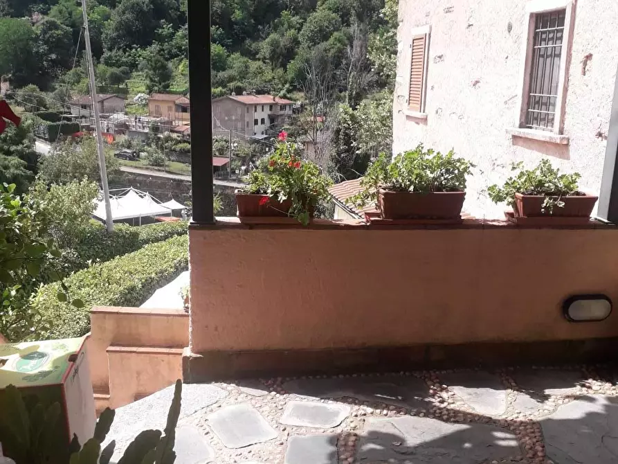 Immagine 6 di Terratetto in vendita  a Pietrasanta