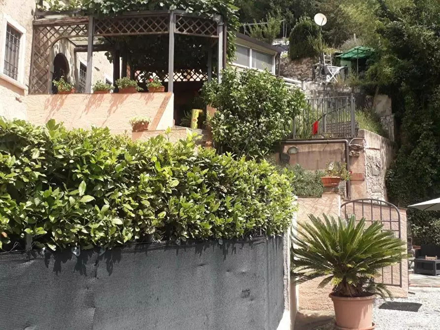 Immagine 7 di Terratetto in vendita  a Pietrasanta