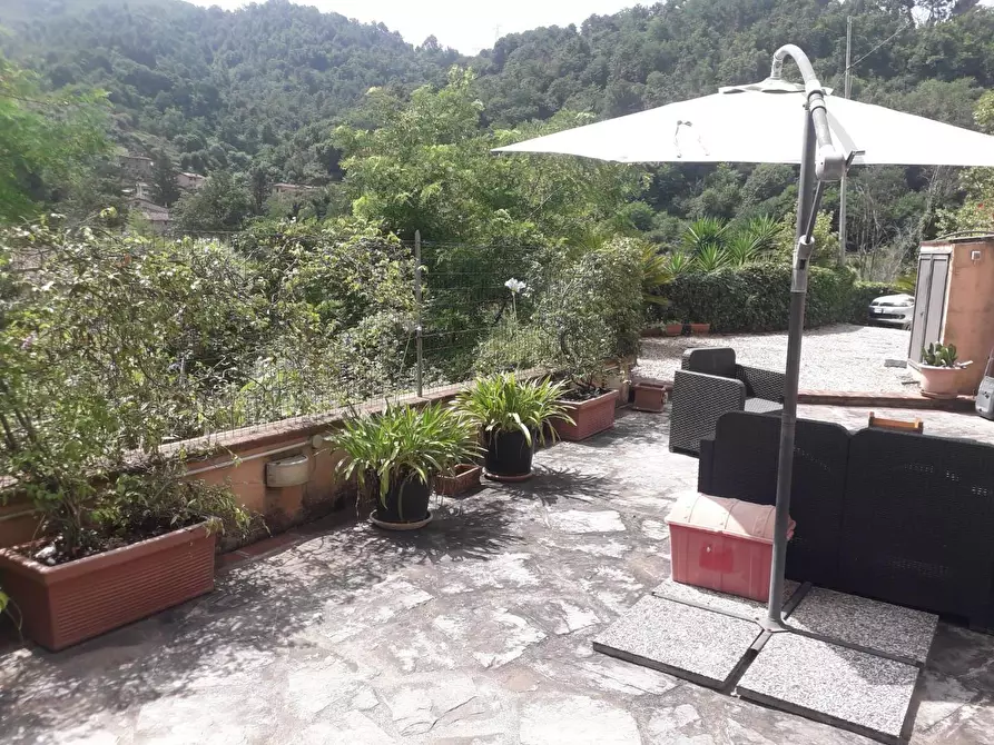 Immagine 2 di Terratetto in vendita  a Pietrasanta