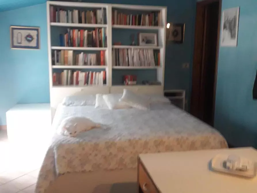 Immagine 20 di Terratetto in vendita  a Pietrasanta