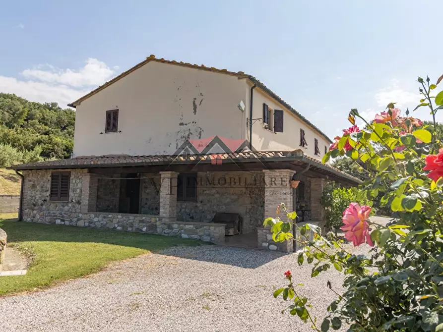 Immagine 4 di Casa colonica in vendita  a Pomarance