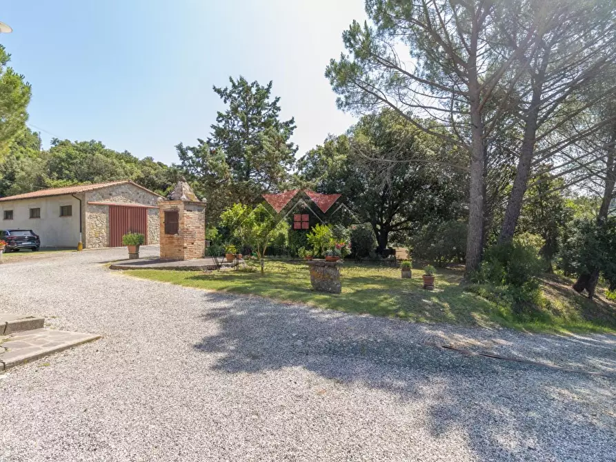 Immagine 5 di Casa colonica in vendita  a Pomarance