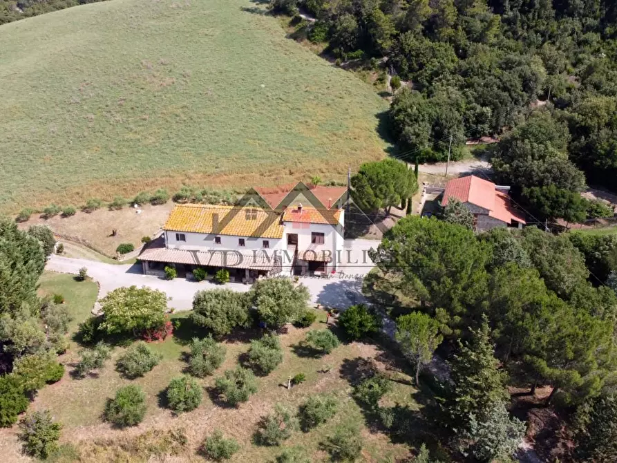 Immagine 18 di Casa colonica in vendita  a Pomarance