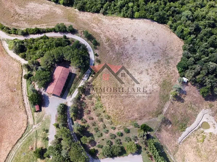 Immagine 11 di Casa colonica in vendita  a Pomarance