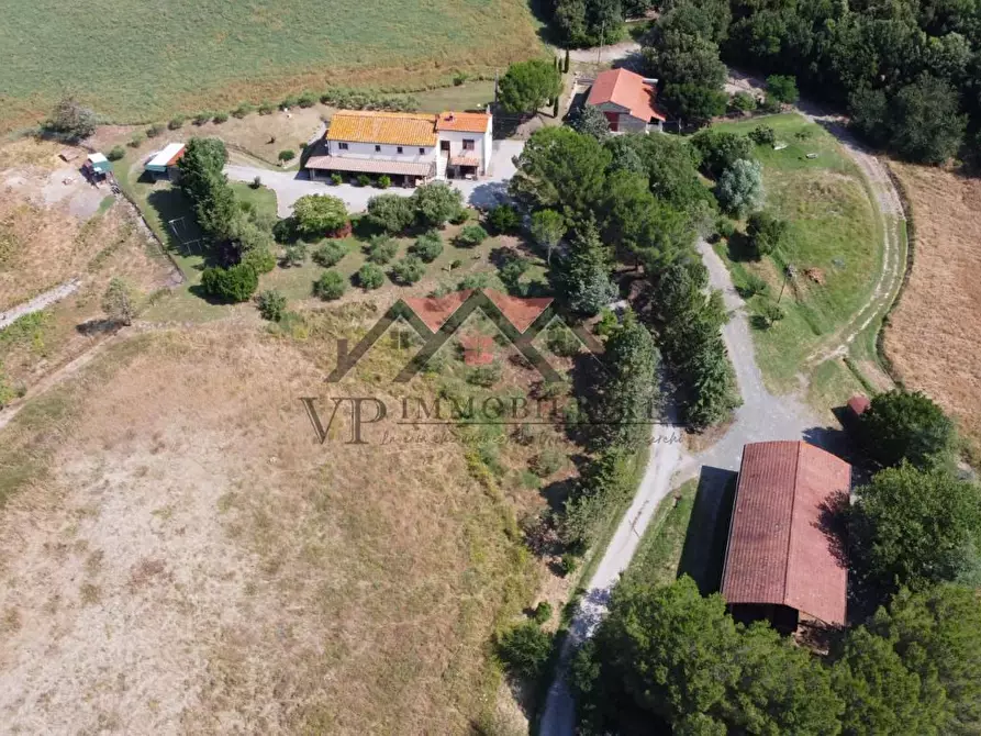 Immagine 16 di Casa colonica in vendita  a Pomarance