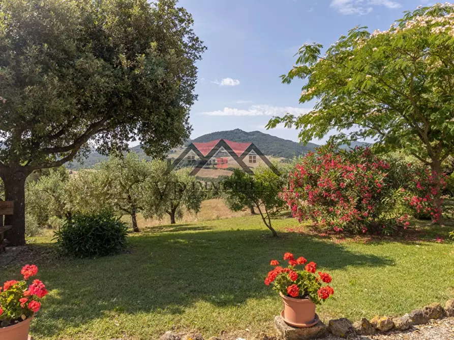 Immagine 6 di Casa colonica in vendita  a Pomarance