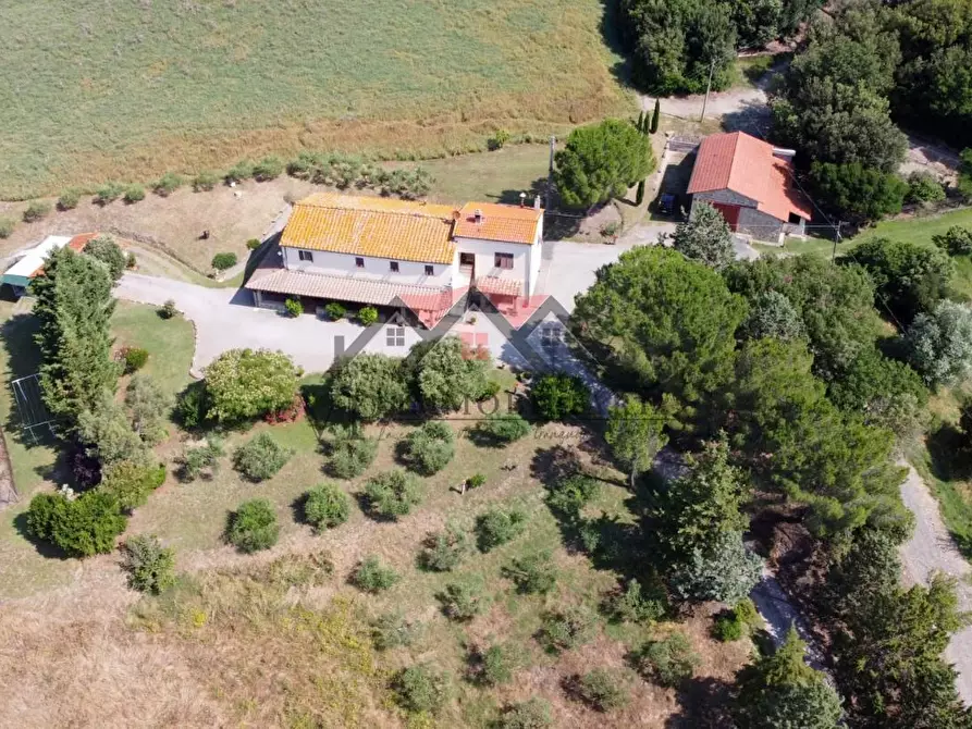 Immagine 17 di Casa colonica in vendita  a Pomarance