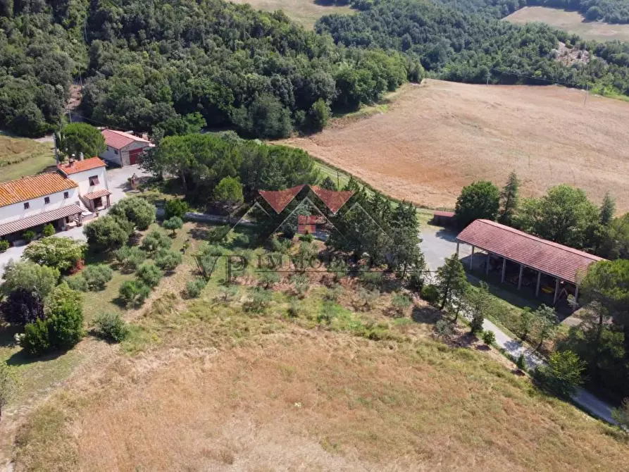 Immagine 19 di Casa colonica in vendita  a Pomarance