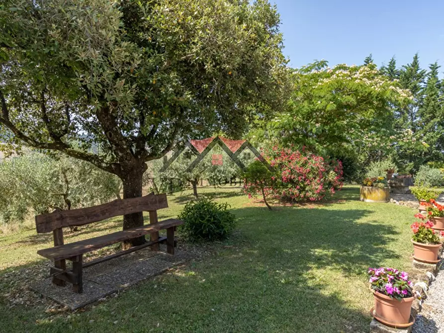 Immagine 7 di Casa colonica in vendita  a Pomarance