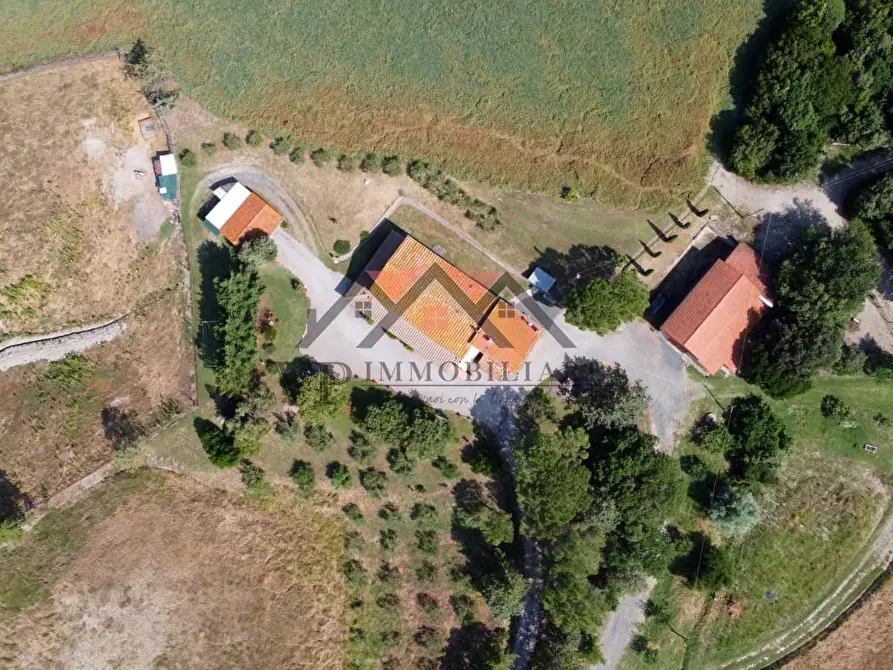 Immagine 9 di Casa colonica in vendita  a Pomarance