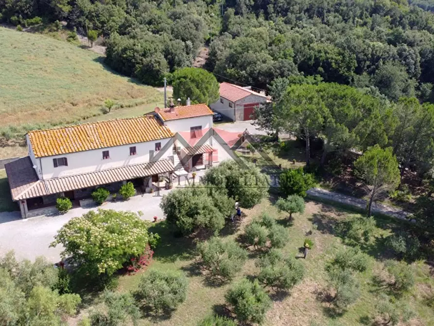 Immagine 20 di Casa colonica in vendita  a Pomarance