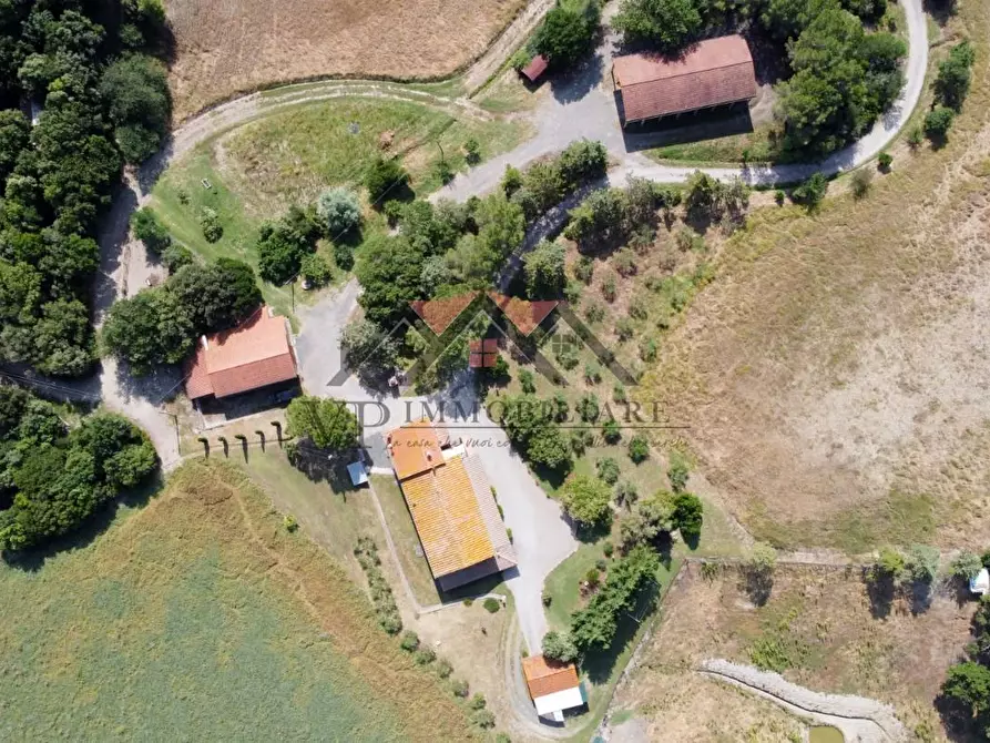 Immagine 10 di Casa colonica in vendita  a Pomarance