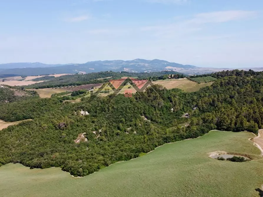 Immagine 15 di Casa colonica in vendita  a Pomarance