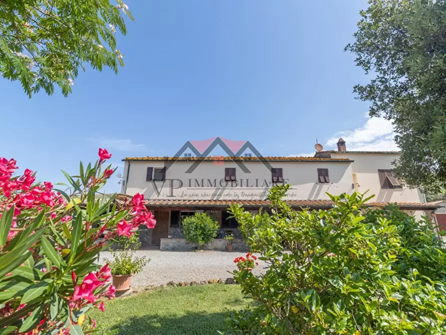 Immagine 2 di Casa colonica in vendita  a Pomarance