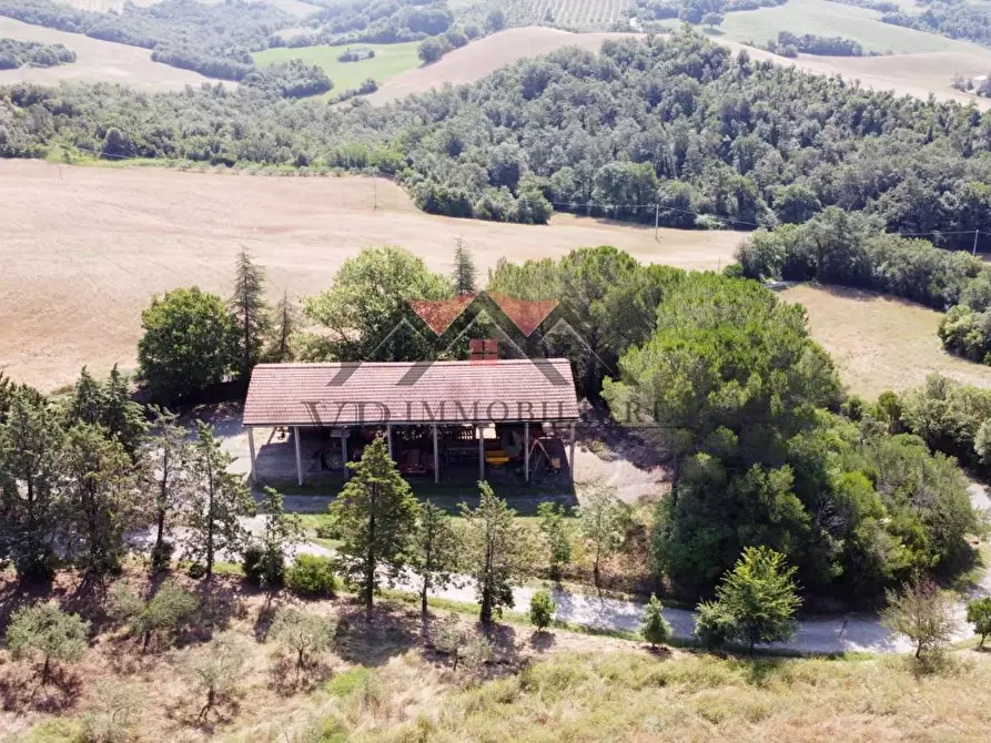 Immagine 21 di Casa colonica in vendita  a Pomarance