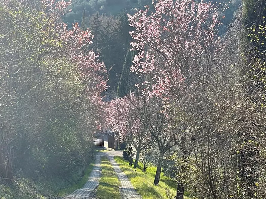 Immagine 1 di Casa colonica in vendita  a San Casciano In Val Di Pesa