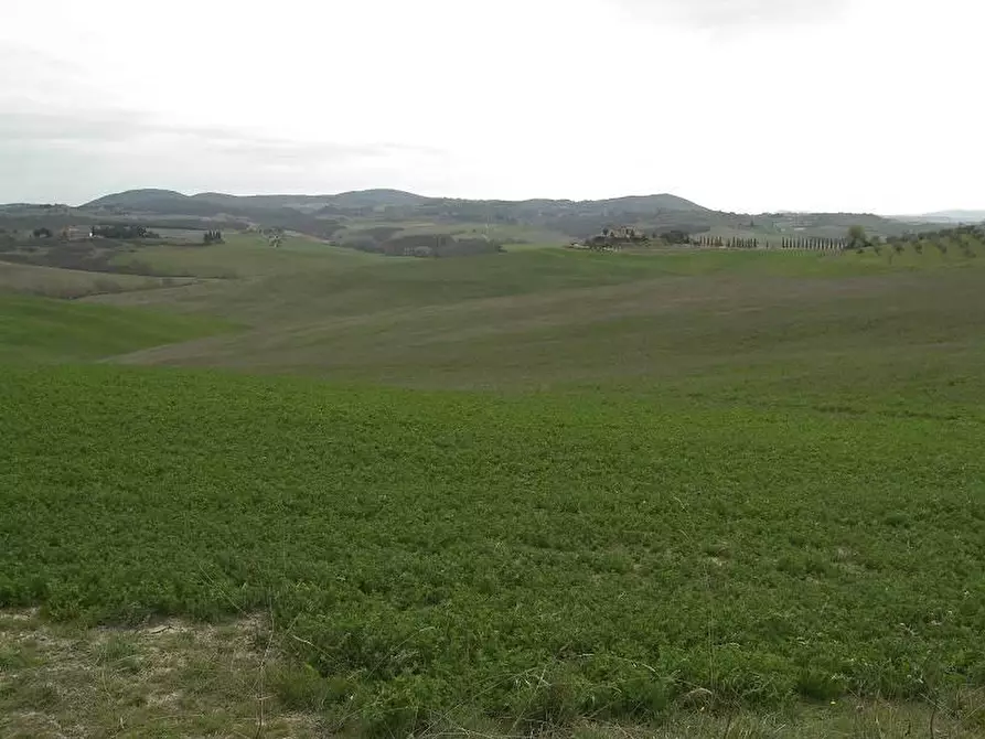Immagine 1 di Terreno agricolo in vendita  a Asciano