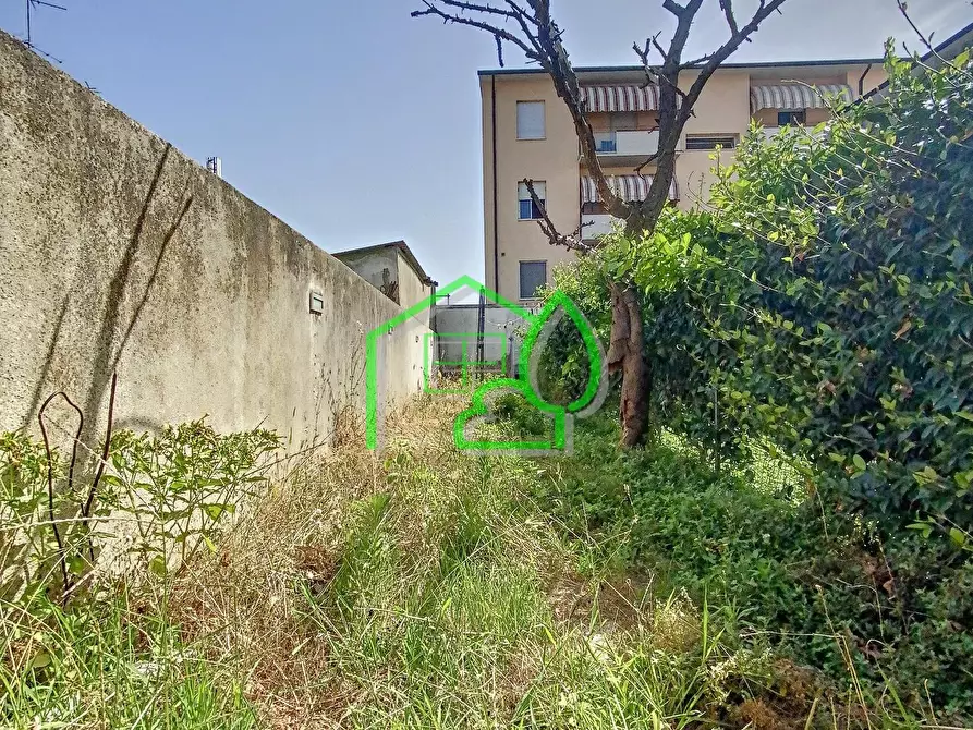 Immagine 3 di Villa in vendita  a Viareggio