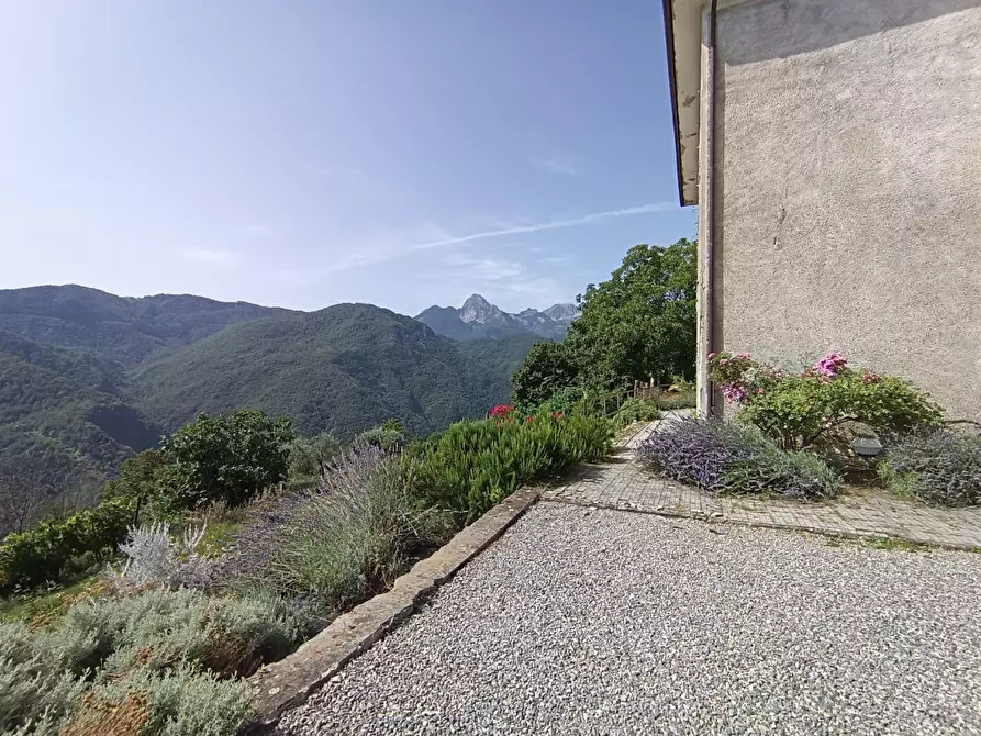 Immagine 21 di Villa in vendita  a Castelnuovo Di Garfagnana