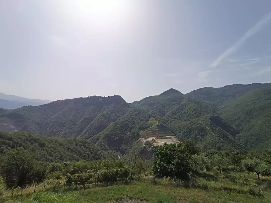 Immagine 23 di Villa in vendita  a Castelnuovo Di Garfagnana