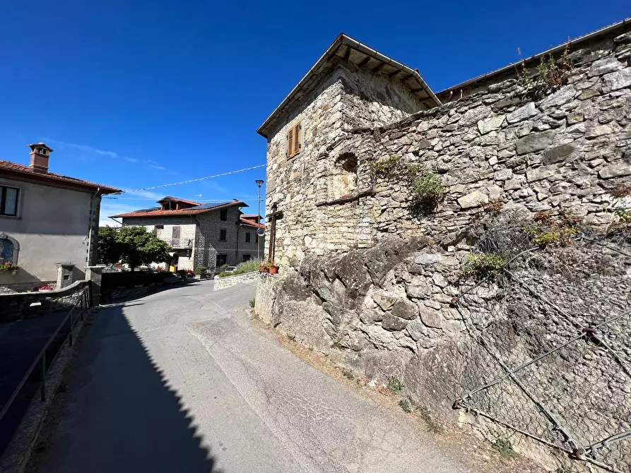 Immagine 5 di Rustico / casale in vendita  a Piazza Al Serchio