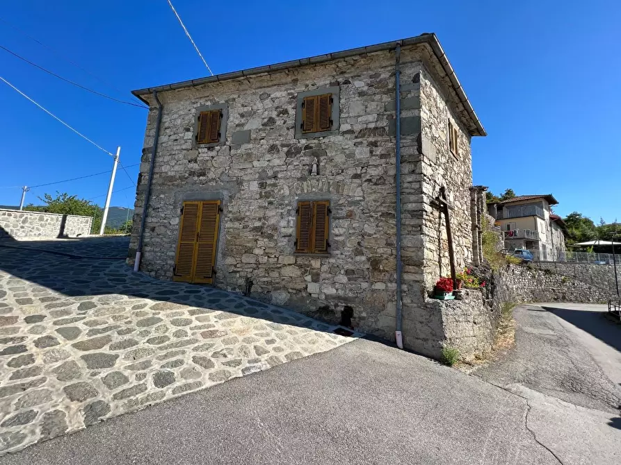 Immagine 1 di Rustico / casale in vendita  a Piazza Al Serchio