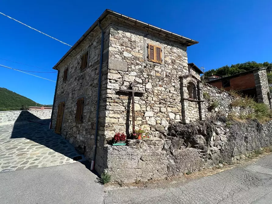 Immagine 2 di Rustico / casale in vendita  a Piazza Al Serchio