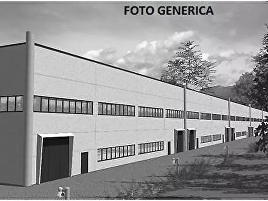 Immagine 1 di Capannone industriale in affitto  a Fauglia