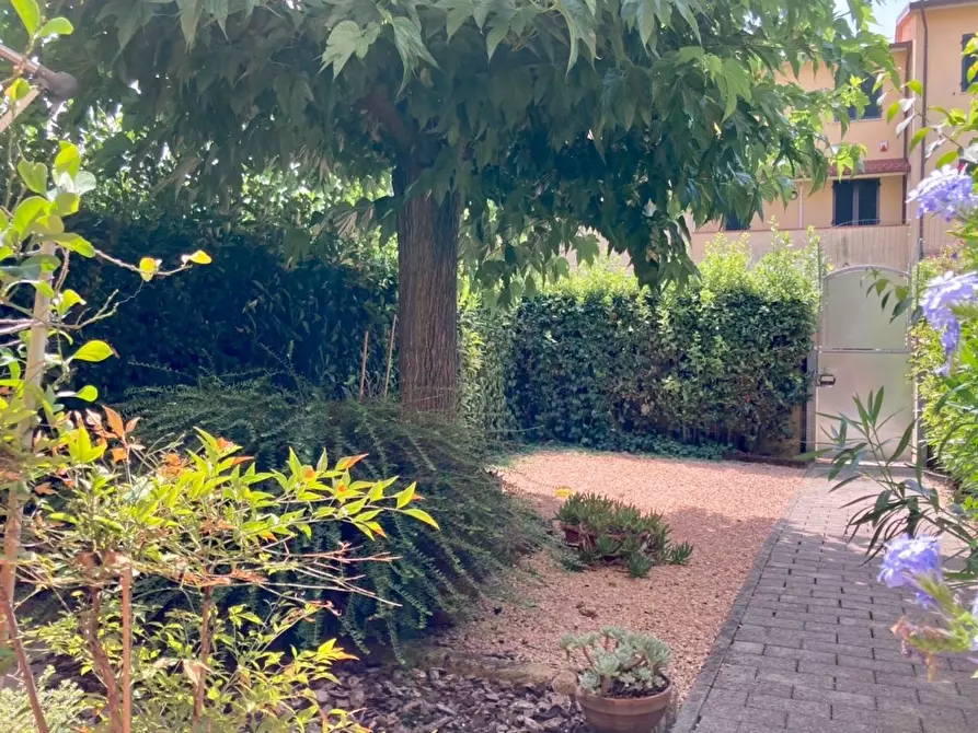 Immagine 5 di Villetta a schiera in vendita  a Calcinaia