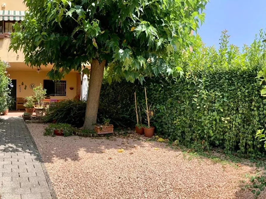 Immagine 2 di Villetta a schiera in vendita  a Calcinaia