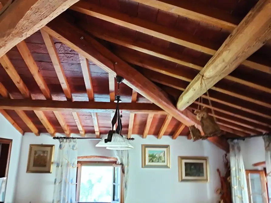 Immagine 6 di Appartamento in vendita  a Fauglia