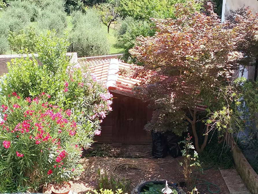 Immagine 14 di Appartamento in vendita  a Fauglia