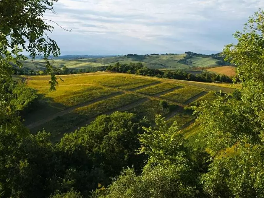 Immagine 20 di Agriturismo in vendita  a Volterra