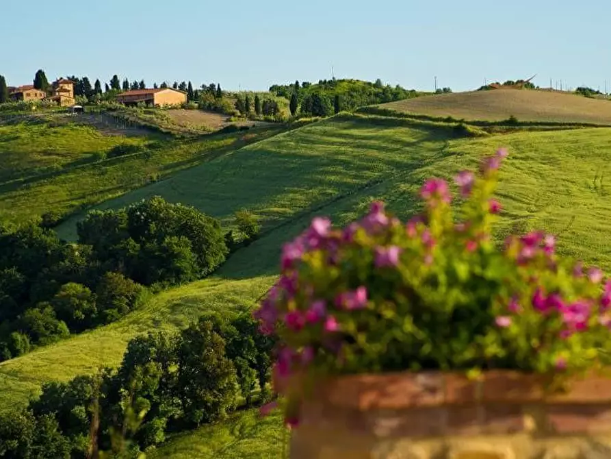 Immagine 13 di Agriturismo in vendita  a Volterra