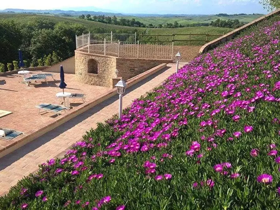 Immagine 18 di Agriturismo in vendita  a Volterra
