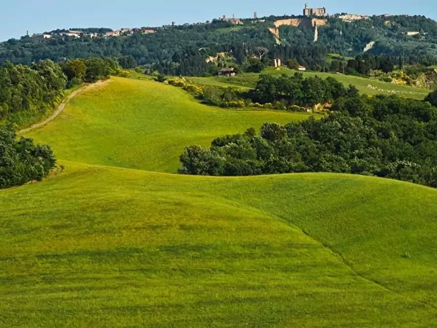 Immagine 14 di Agriturismo in vendita  a Volterra