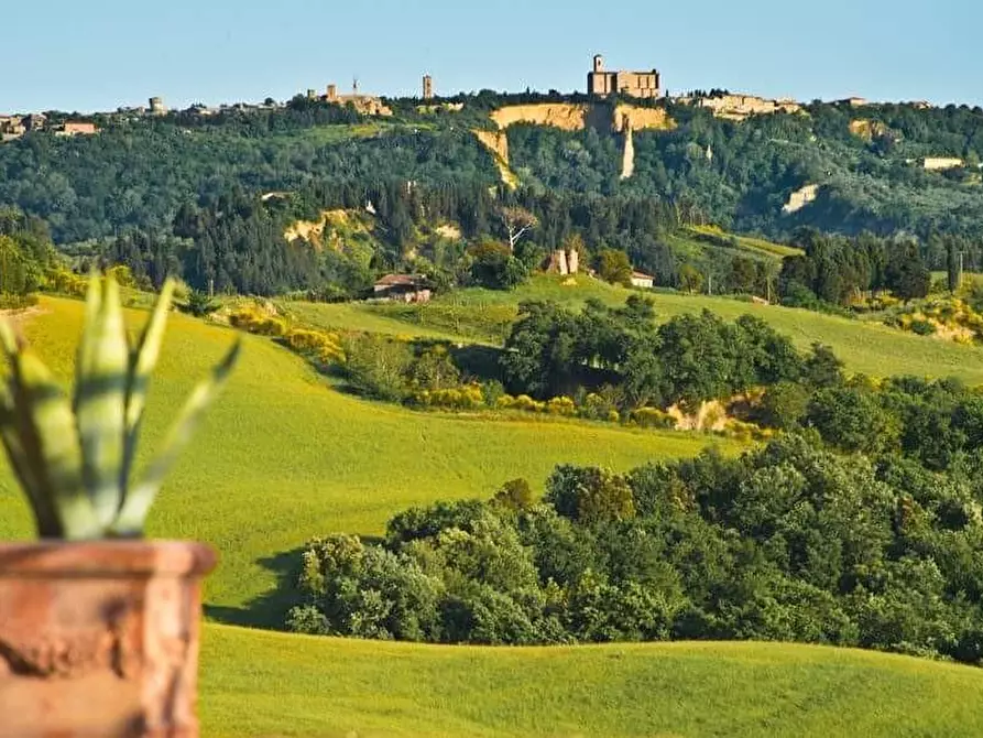 Immagine 15 di Agriturismo in vendita  a Volterra