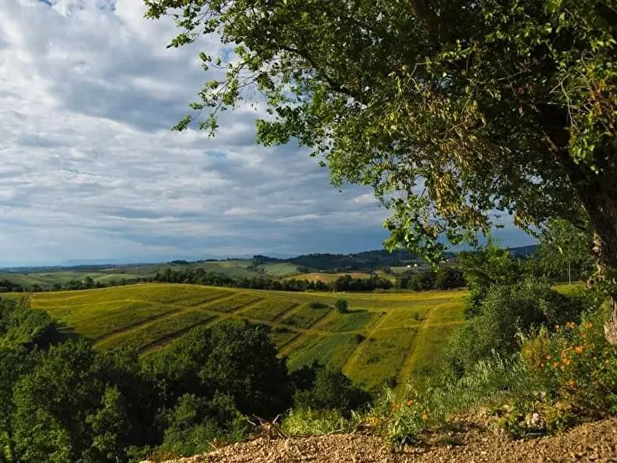 Immagine 16 di Agriturismo in vendita  a Volterra