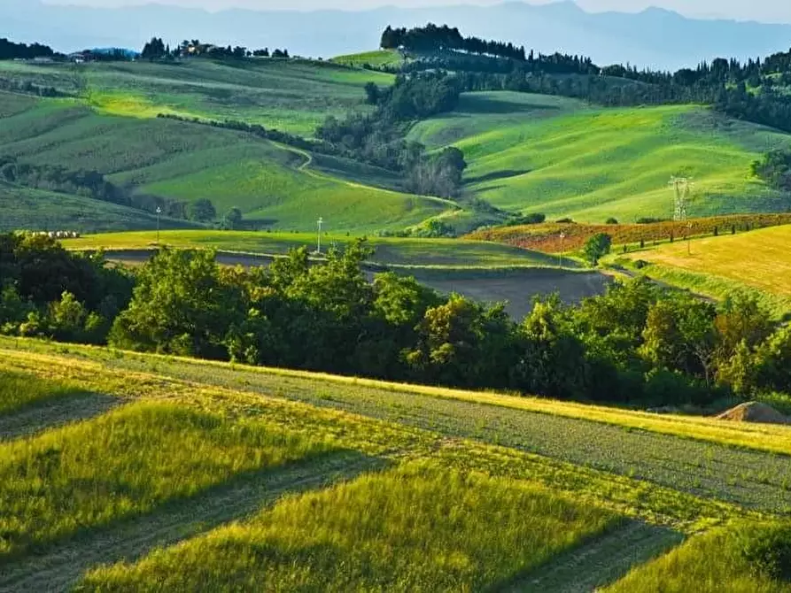 Immagine 17 di Agriturismo in vendita  a Volterra