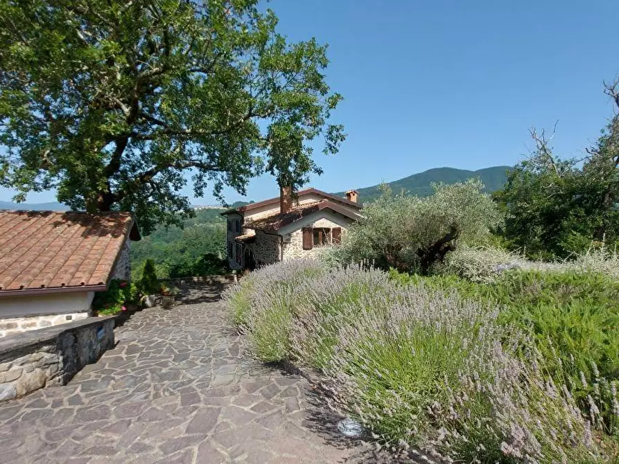 Immagine 51 di Casa colonica in vendita  a Bagnone