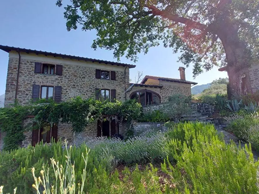 Immagine 39 di Casa colonica in vendita  a Bagnone