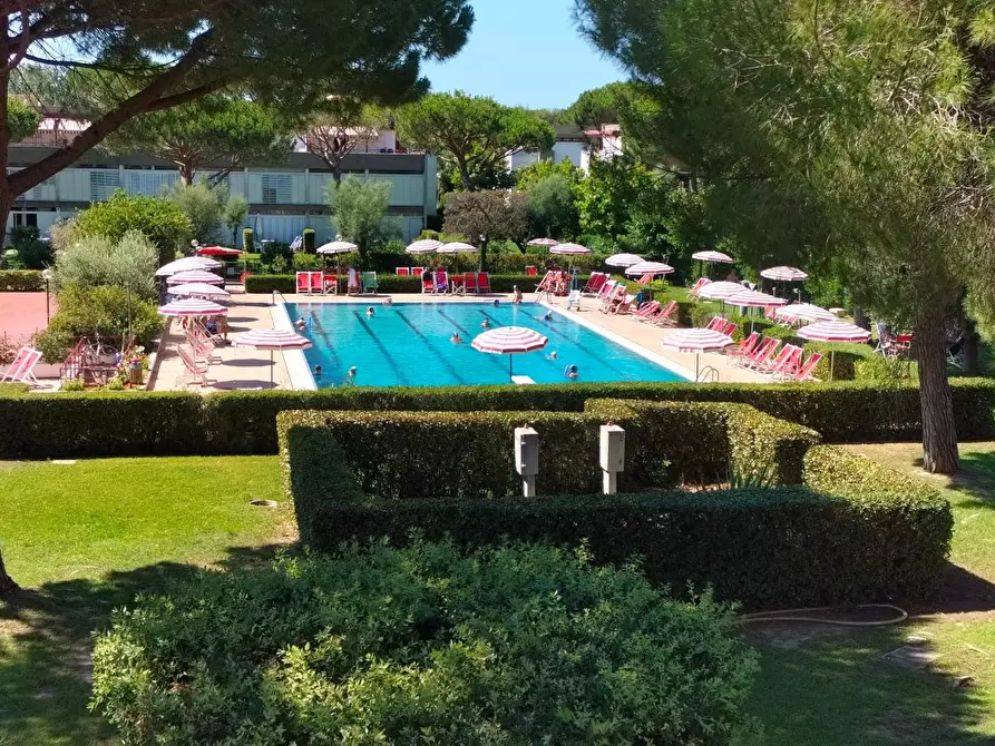 Immagine 8 di Appartamento in vendita  a Bibbona