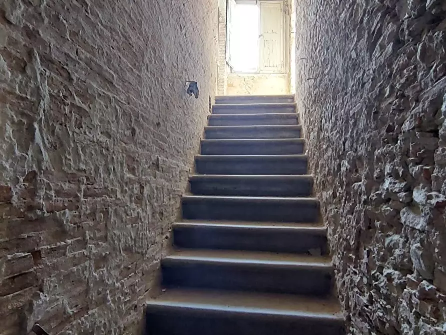 Immagine 12 di Casa indipendente in vendita  a Calci