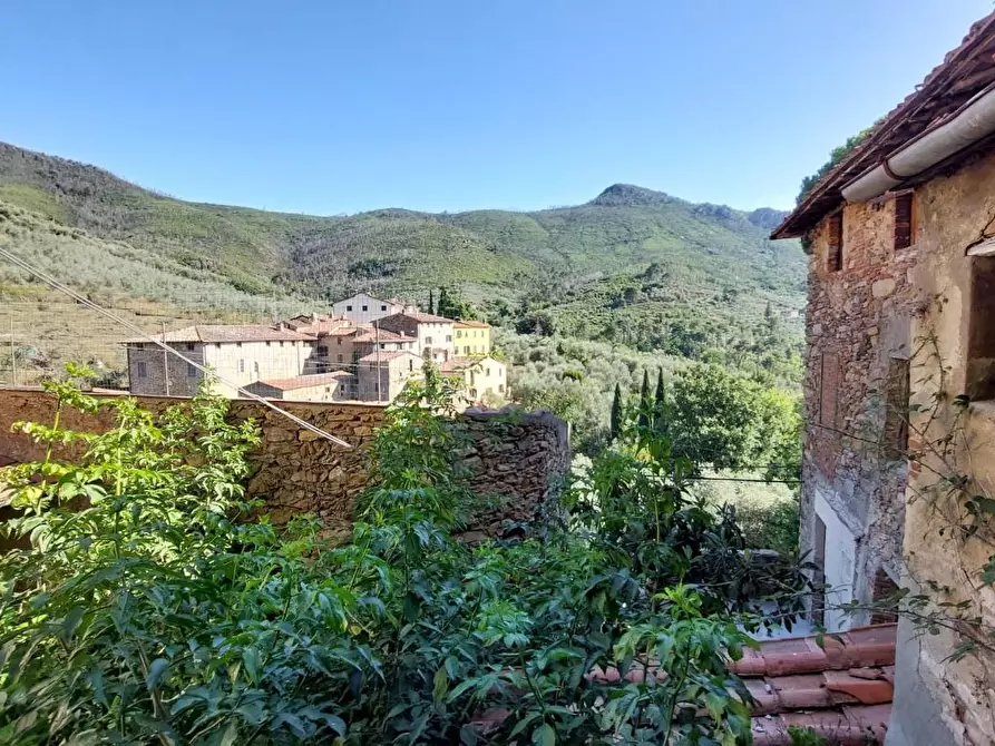 Immagine 10 di Casa indipendente in vendita  a Calci