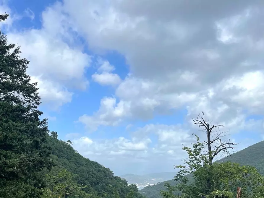 Immagine 9 di Casa indipendente in vendita  a La Spezia