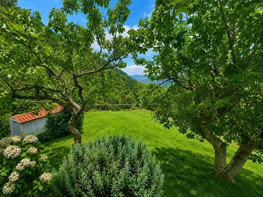 Immagine 5 di Casa indipendente in vendita  a La Spezia