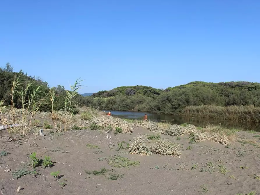 Immagine 12 di Appartamento in vendita  a Bibbona