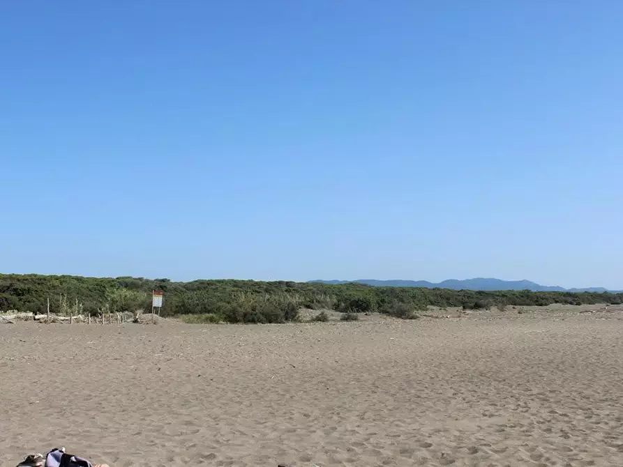 Immagine 11 di Appartamento in vendita  a Bibbona