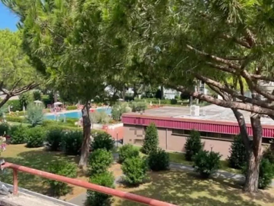 Immagine 2 di Appartamento in vendita  a Bibbona