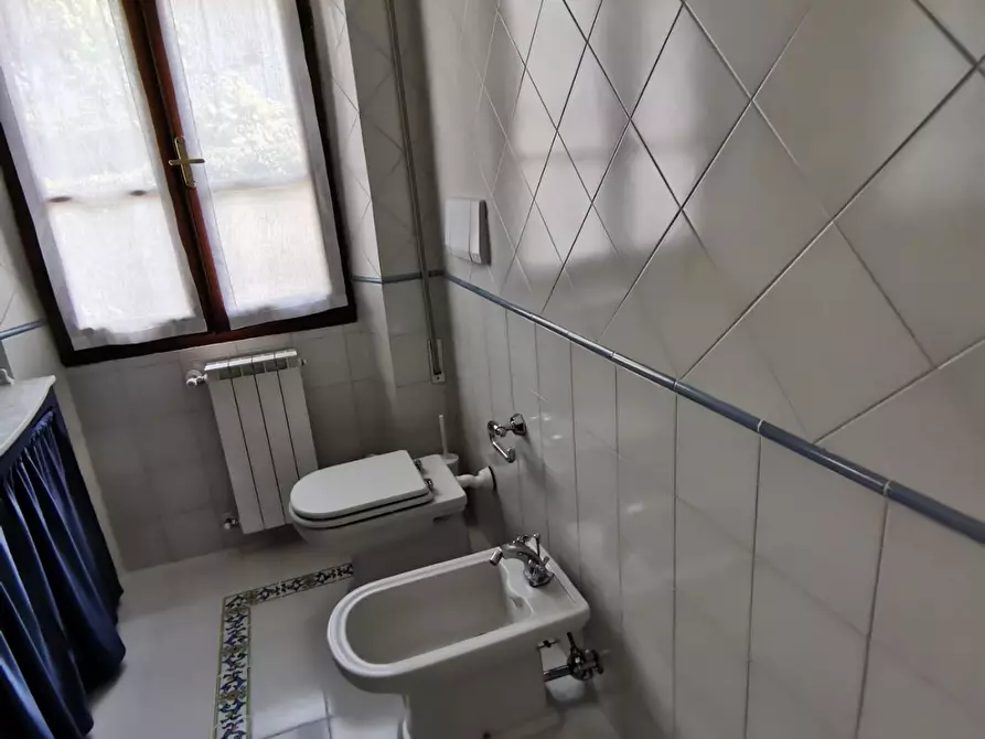 Immagine 21 di Villa in affitto  a Forte Dei Marmi